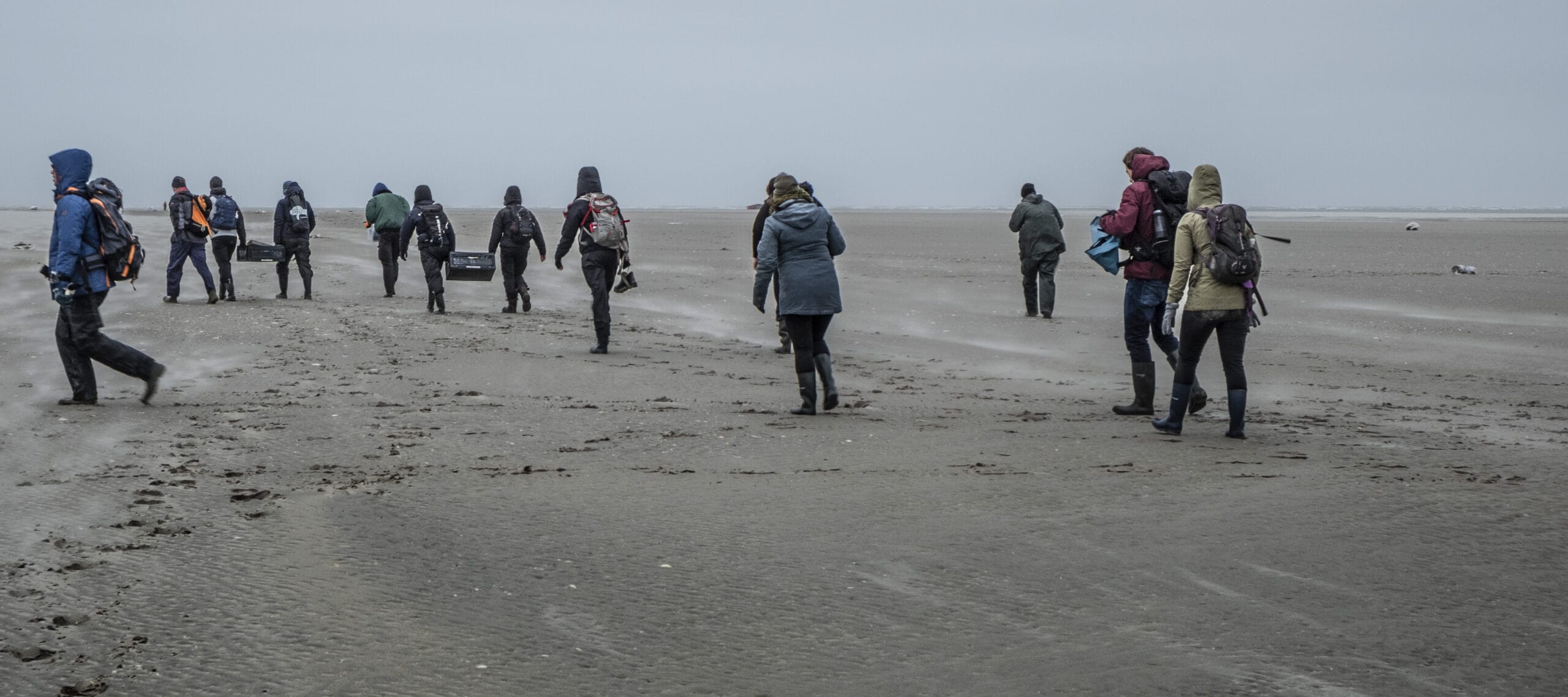Vrijwilligers ruimen de stranden op